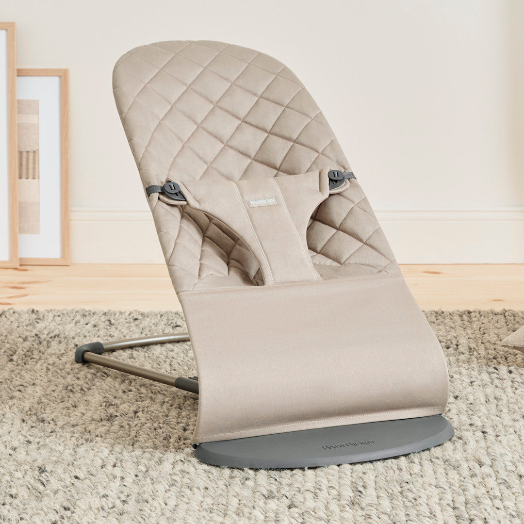 BabyBjörn Babysitter Bliss