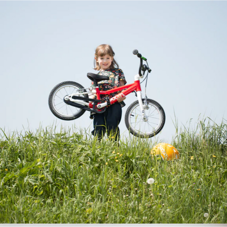 hyr woomcykel med Parently