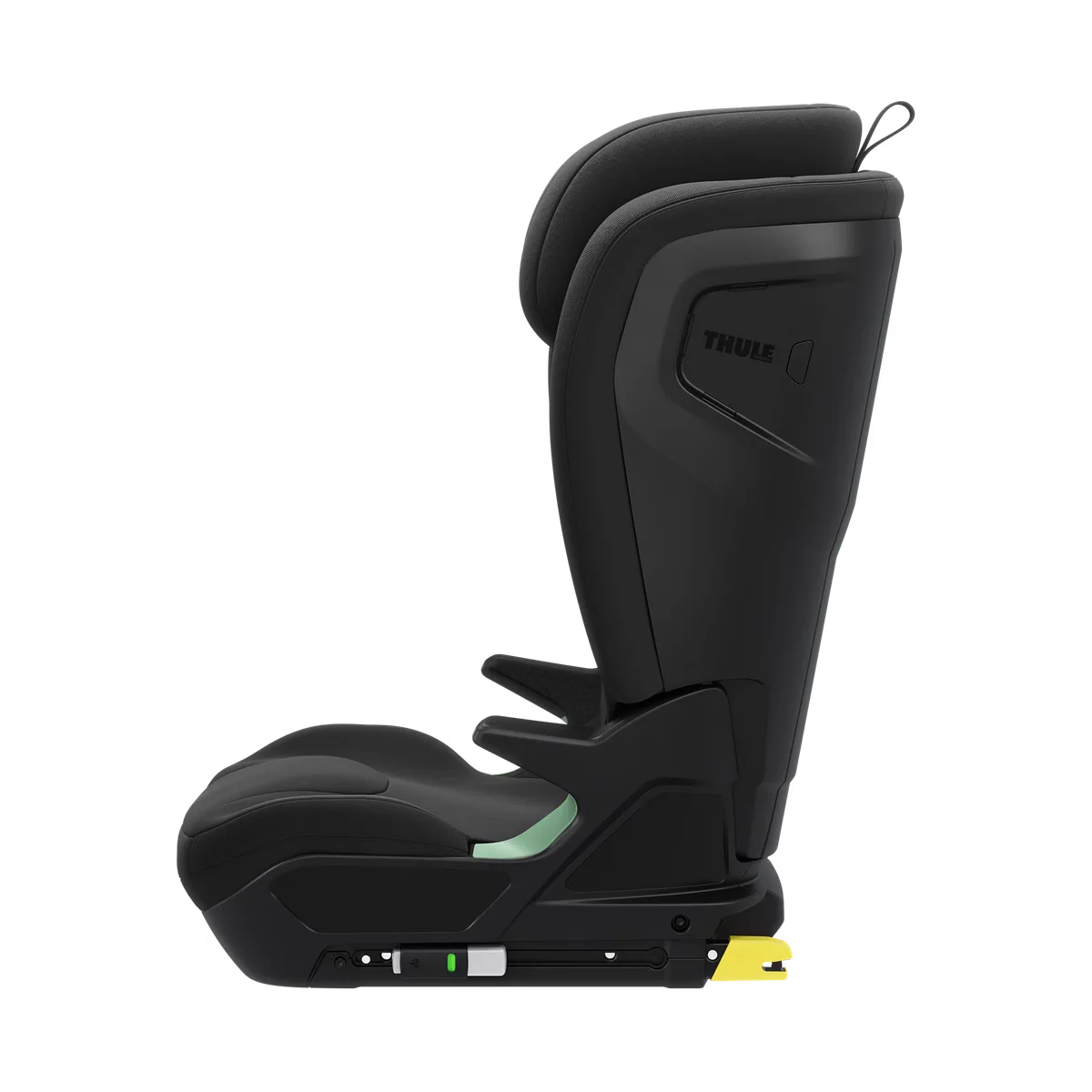 Thule Palm