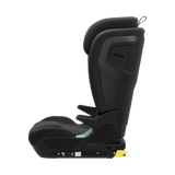 Thule Palm