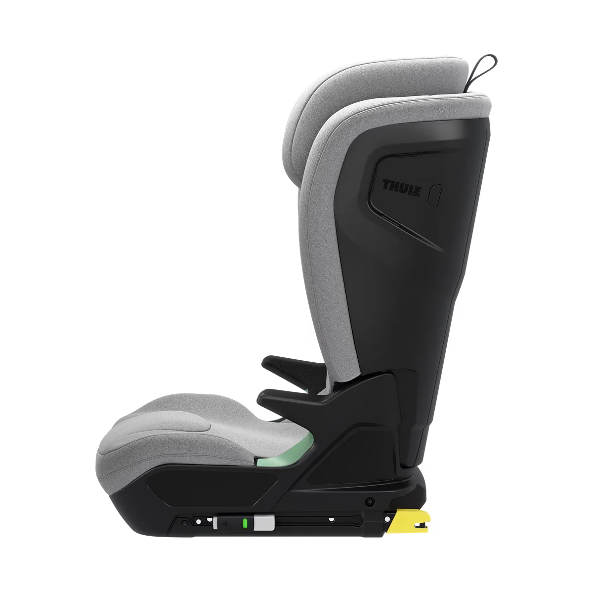 Thule Palm