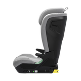 Thule Palm