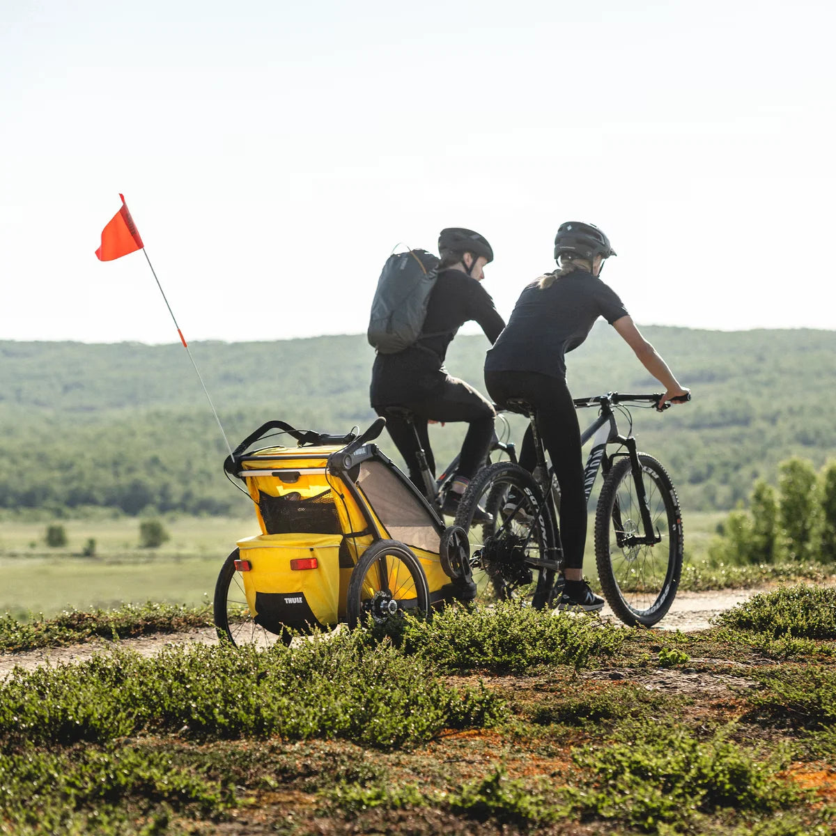 Thule Chariot Sport Double